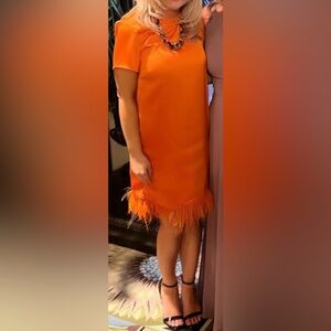 Zaldana Pocketed Feather Trim Dress